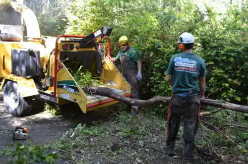 tree services Midway City